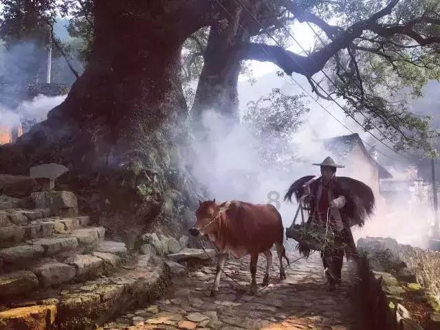 救援美丽小天使