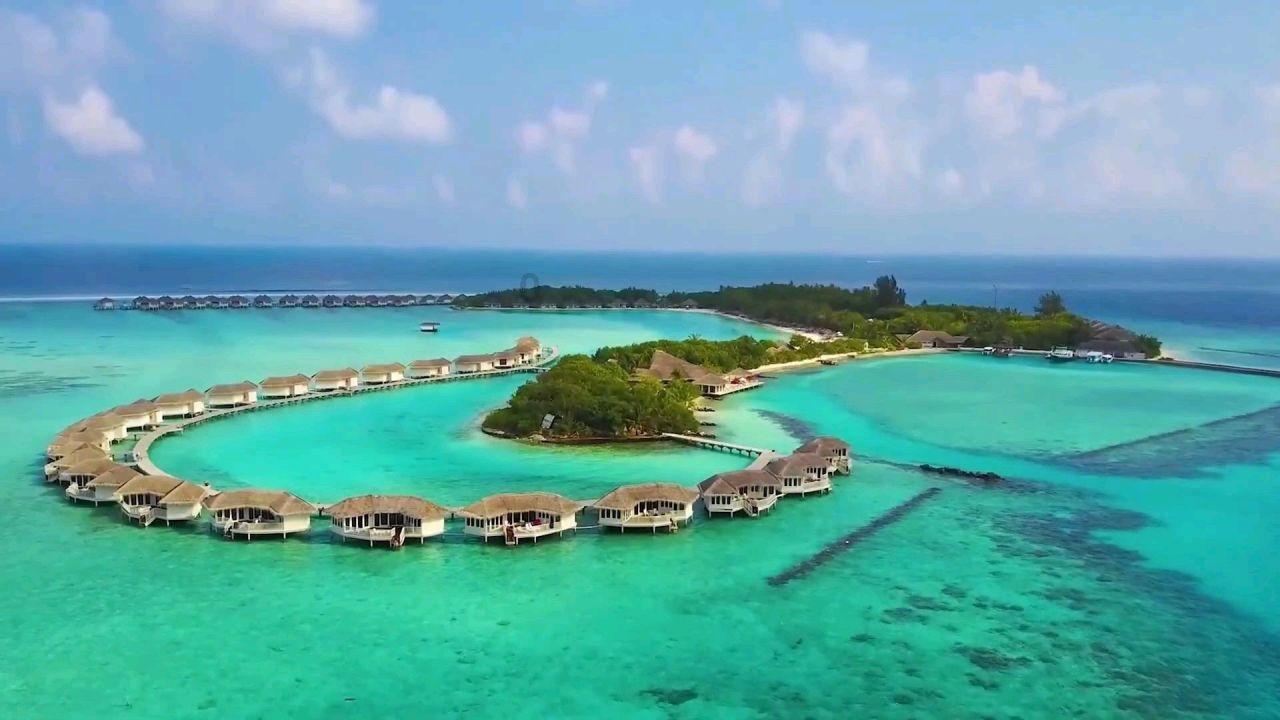 厉害了我的巧虎6