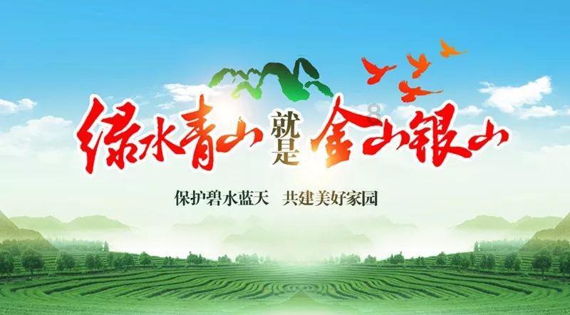 卡哇伊拳击手